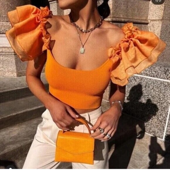 Zara Tops - ZARA tulle organza crop top size S
